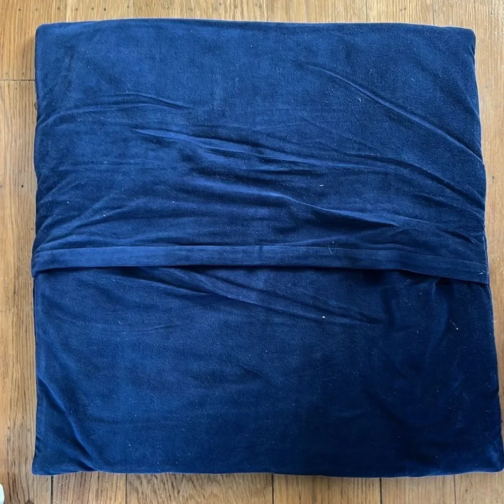 Pottery Barn Blue Euro Pillow Sham